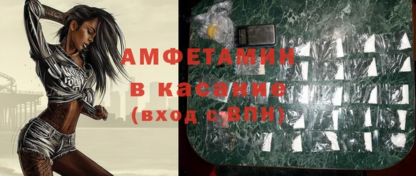 стаф Белокуриха