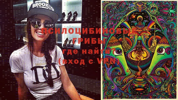 дурь Белоозёрский