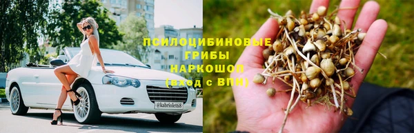 дурь Белоозёрский