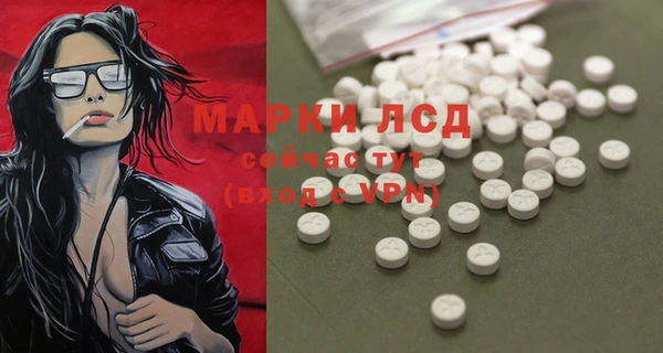 стаф Белокуриха