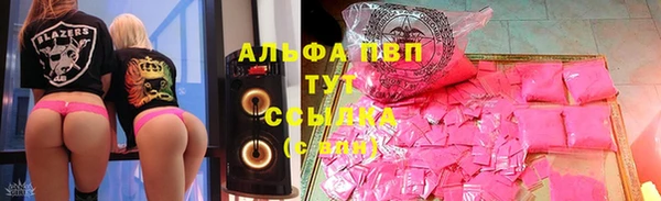 стаф Белокуриха